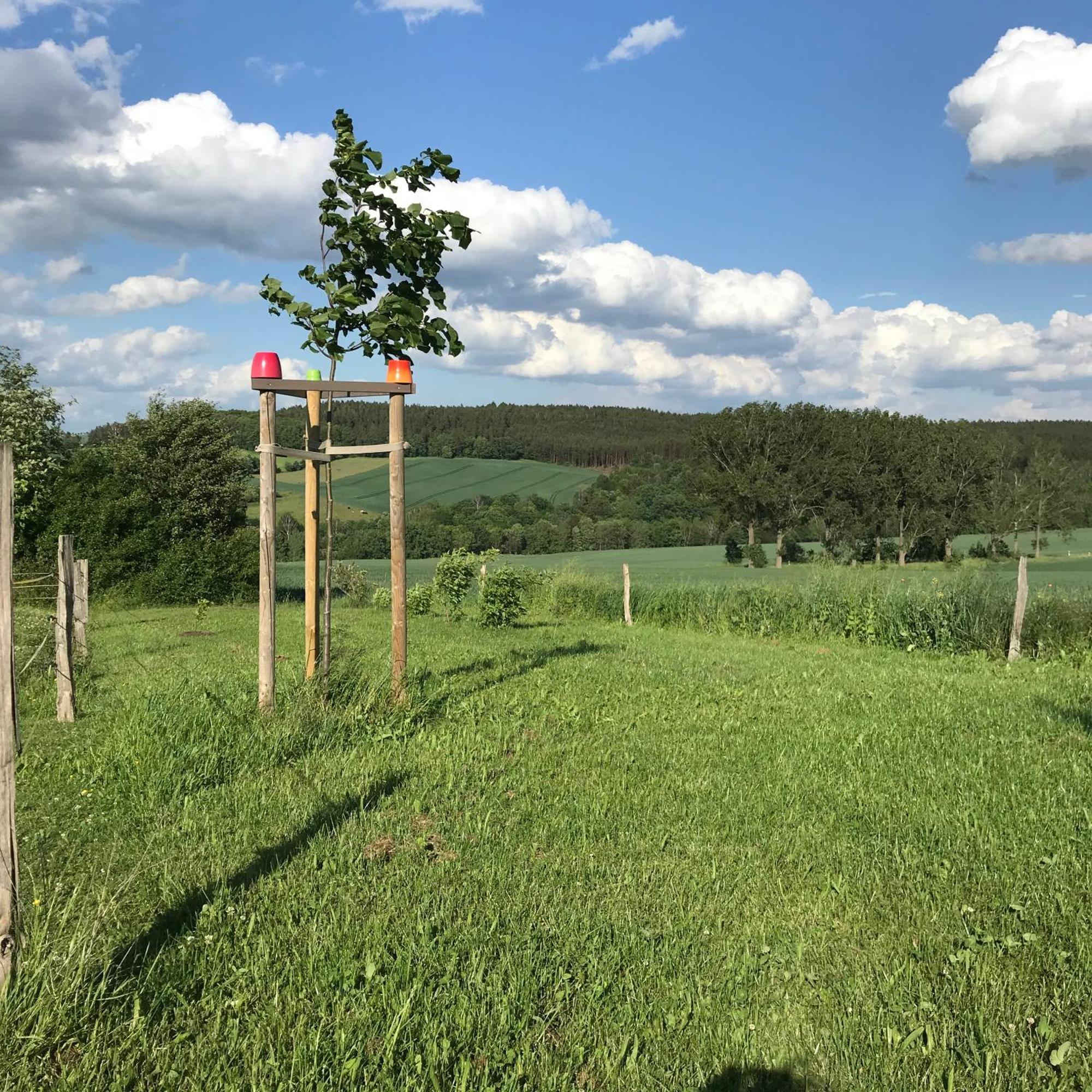 Energietanken Vor Den Toren Dresdens -Barrierefrei- Диполдисвалде Екстериор снимка